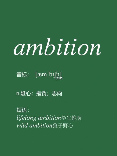 ambition怎么读音发音_ambition读法